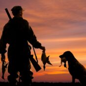 A hunter and his dog holding ducks while watching the sunset.